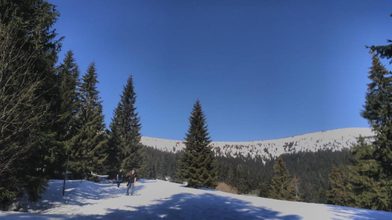 Chata Salicka Bozkov Bozkovska Luaran gambar