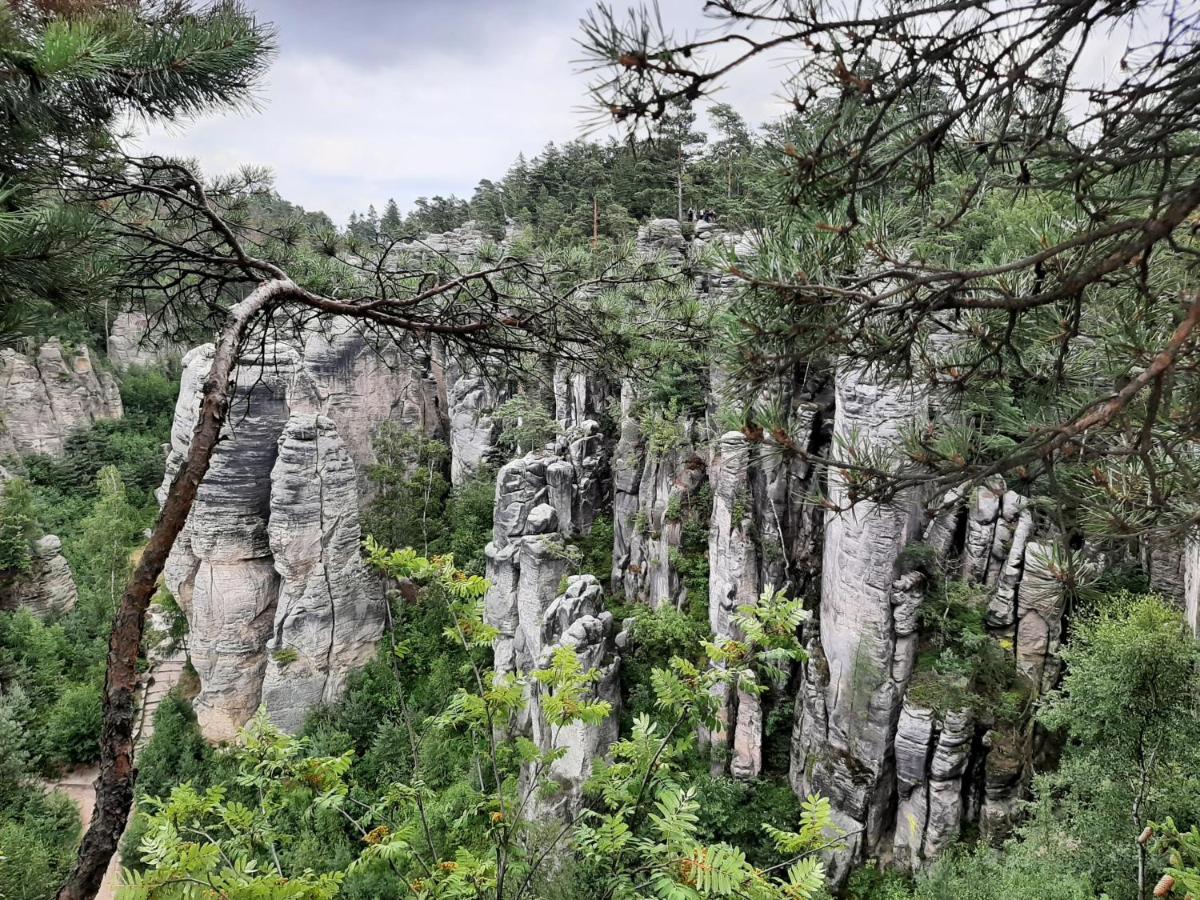 Chata Salicka Bozkov Bozkovska Luaran gambar